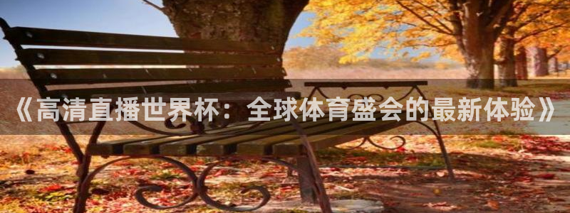 世界杯足球比赛:《高清直播世界杯:全球体育盛会的最新体验》
