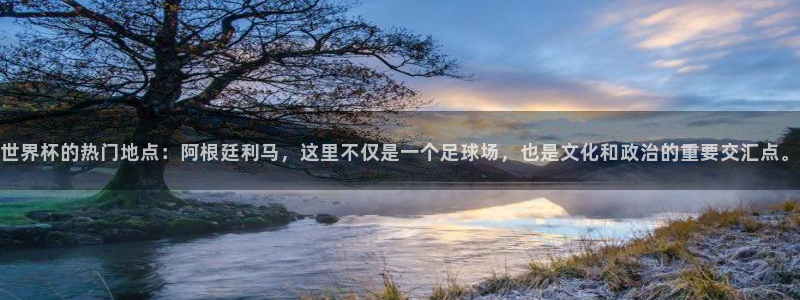 女足世界杯赛程:世界杯的热门地点:阿根廷利马,这里不仅是一个足球场,也是文化和政治的重要交汇点。