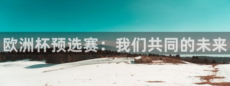 2026世界杯对阵图:欧洲杯预选赛:我们共同的未来