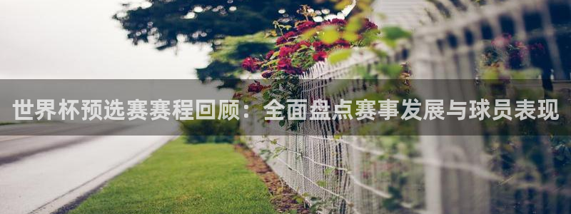 世界杯决赛预测:世界杯预选赛赛程回顾:全面盘点赛事发展与球员表现