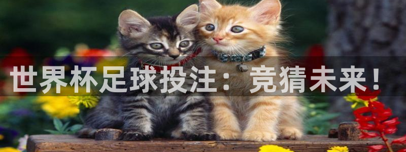世界杯亚洲区预选赛积分榜:世界杯足球投注:竞猜未来!
