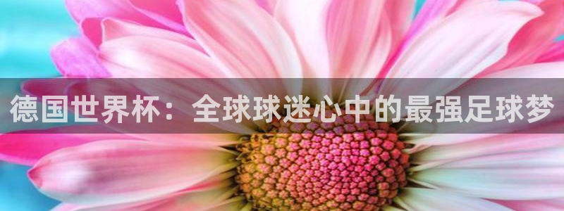 2026世界杯对阵图:德国世界杯:全球球迷心中的最强足球梦