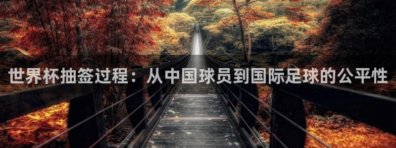 世界杯小组赛赛程:世界杯抽签过程:从中国球员到国际足球的公平性