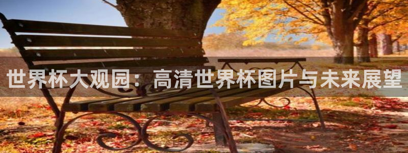 世界杯2026赛程表:世界杯大观园:高清世界杯图片与未来展望