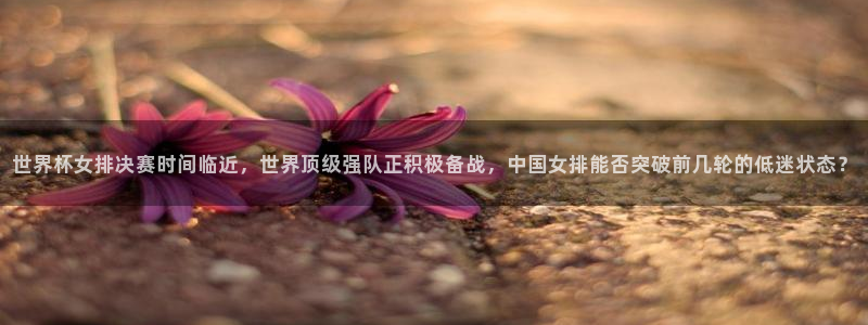 2026世界杯直播免费观看:世界杯女排决赛时间临近,世界顶级强队正积极备战,中国女排能否突破前几轮的低迷状态?